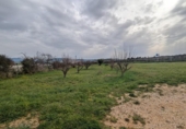 Земля на продажу у города Estella Фото