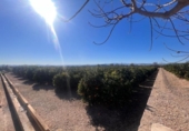 Земля на продажу у города Llíria Фото