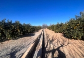 Земля на продажу у города Llíria Фото