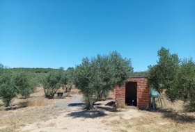 Villablanca 5935&nbsp;m²
