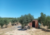 Chalet independiente con terreno en venta en la España, Villablanca, ref: TR412569 foto