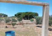 Chalet independiente con terreno en venta en la España, Villablanca, ref: TR412569 foto