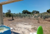 Chalet independiente con terreno en venta en la España, Villablanca, ref: TR412569 foto