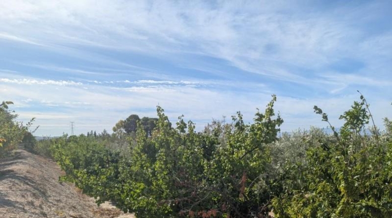 Мурсия - Molina de Segura - 2700m2