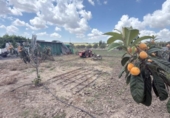 Terreno con Almacén en venta en la España, San Juan del Puerto, ref: TR408580 foto
