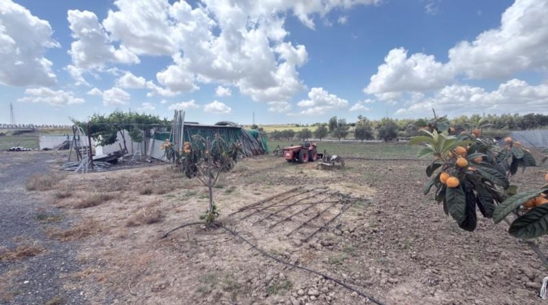 Huelva - San Juan del Puerto - 24092m2