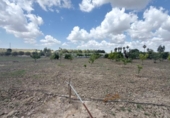 Terreno con Almacén en venta en la España, San Juan del Puerto, ref: TR408580 foto