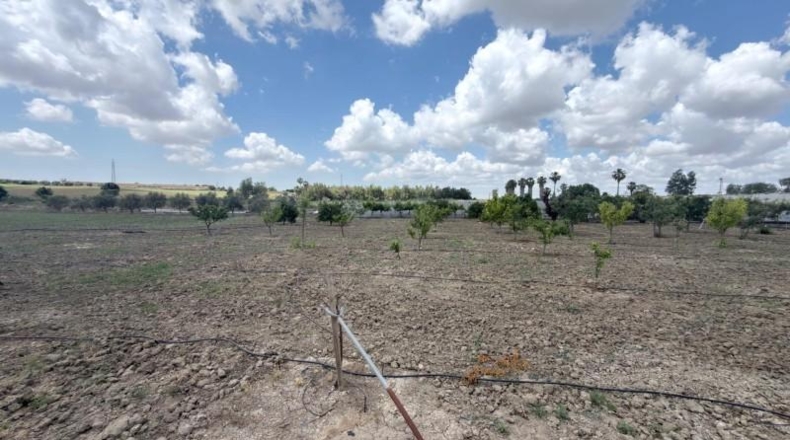 Huelva - San Juan del Puerto - 24092m2