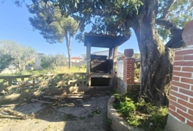 Foto 15