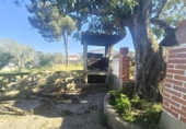 Chalet independiente con terreno en venta en la España, Llombai, ref: TR405188 foto