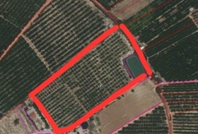 Cieza 53437&nbsp;m²