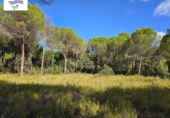 Suelo urbano en venta en la España, Albacete, ref: TR348163 foto