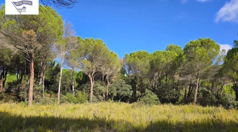 Albacete - Albacete - 10000m2