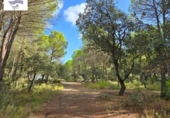 Suelo urbano en venta en la España, Albacete, ref: TR348163 foto