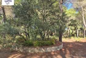 Albacete 10000&nbsp;m²