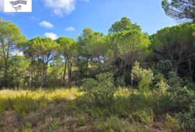 Albacete 10000&nbsp;m²