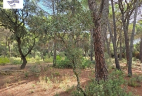 Albacete 10000&nbsp;m²