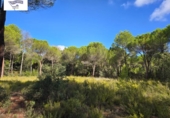 Suelo urbano en venta en la España, Albacete, ref: TR348163 foto