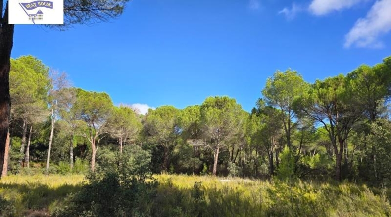 Albacete - Albacete - 10000m2