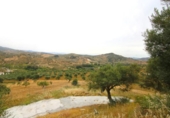 Country house with land for sale on España, Tolox, ref: TR388488 photo