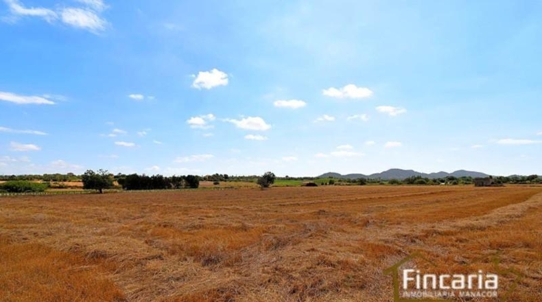 Balearic Islands - Manacor - 22145m2