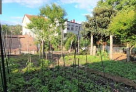 Foto 13