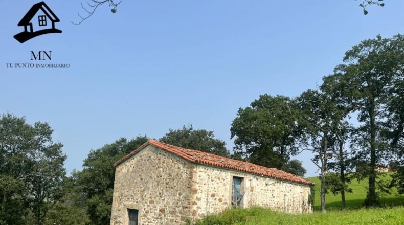 Cantabria - Villacarriedo - 7041m2