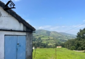 Rural estate for sale on España, Villacarriedo, ref: TR280809 photo