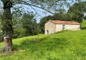Rural estate for sale on España, Villacarriedo, ref: TR280809 photo