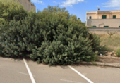 Sòl urbà en venda a la España, Llucmajor, ref.: TR324619 foto