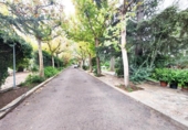 Chalet independiente con terreno en venta en la España, Puertollano, ref: TR370525 foto