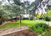 Chalet independiente con terreno en venta en la España, Puertollano, ref: TR370525 foto
