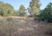 Suelo urbano en venta en la España, Llíria, ref: TR248458 foto
