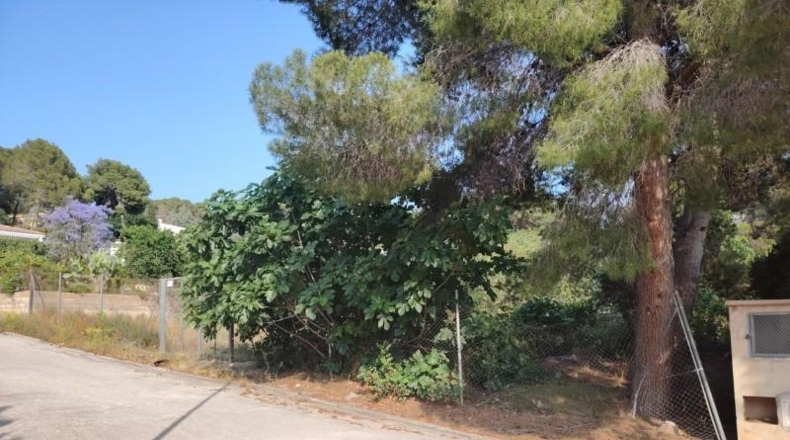Valencia - Liria - 1326m2
