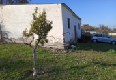 Chalet independiente con terreno en venta en la España, Lucena, ref: TR194519 foto