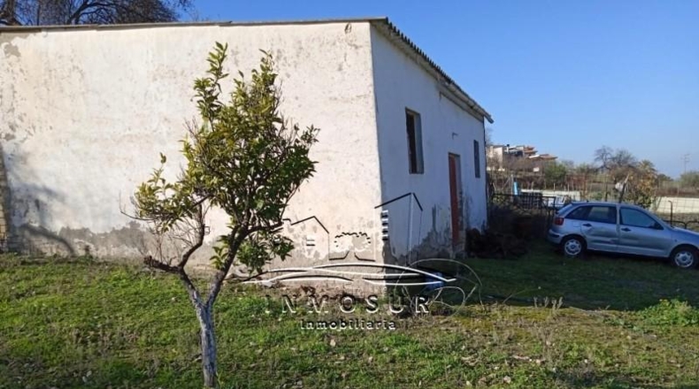 Córdoba - Lucena - 1500m2