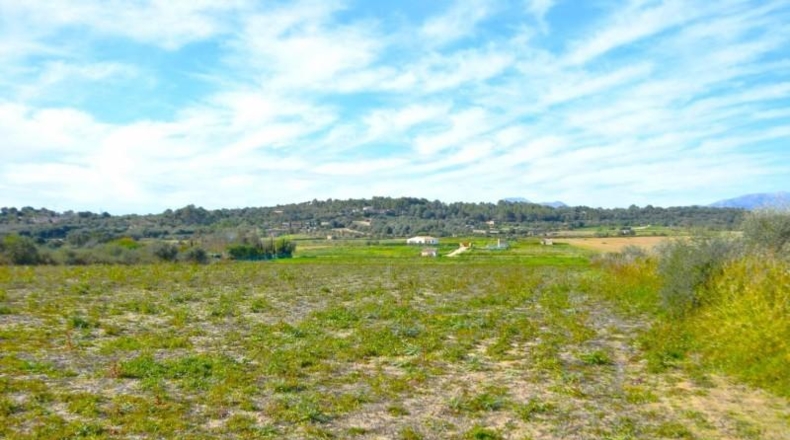 Islas Baleares - Muro - 18250m2
