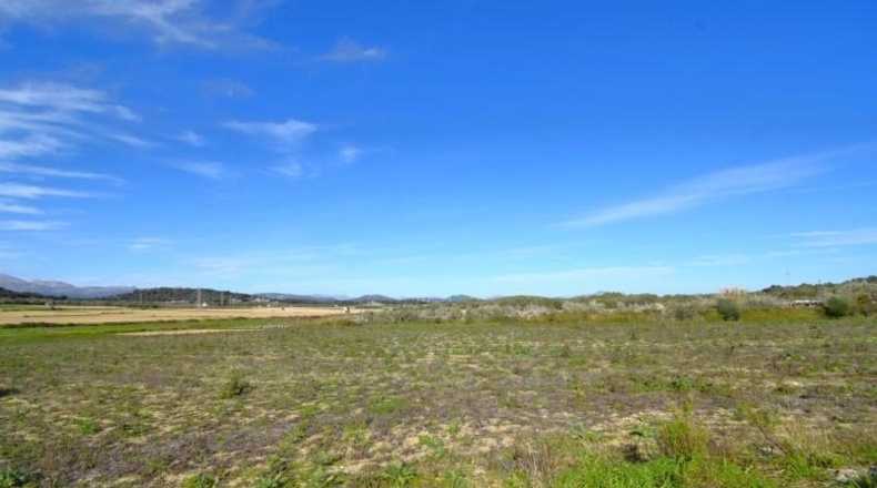 Islas Baleares - Muro - 18250m2