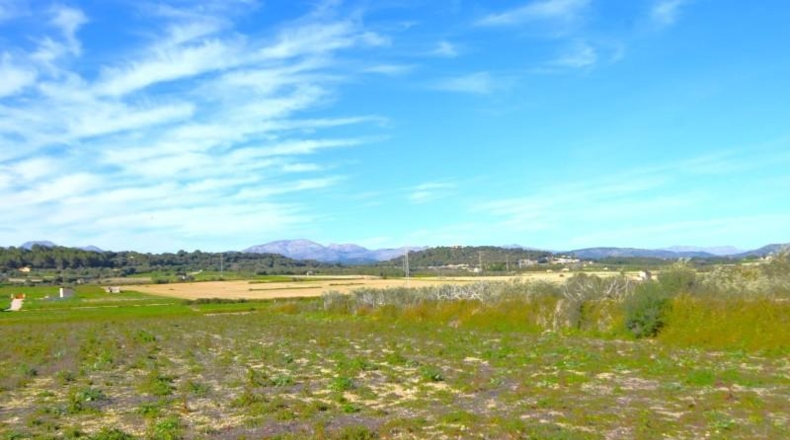 Islas Baleares - Muro - 18250m2