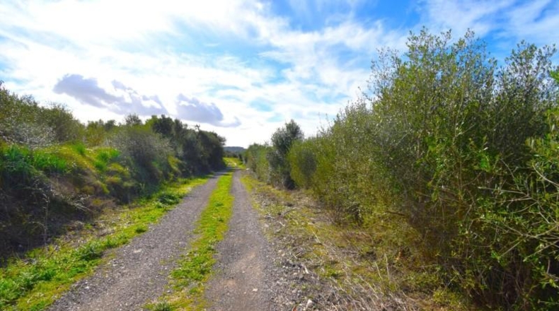Islas Baleares - Muro - 18250m2