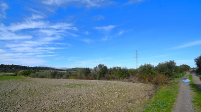 Islas Baleares - Muro - 18250m2