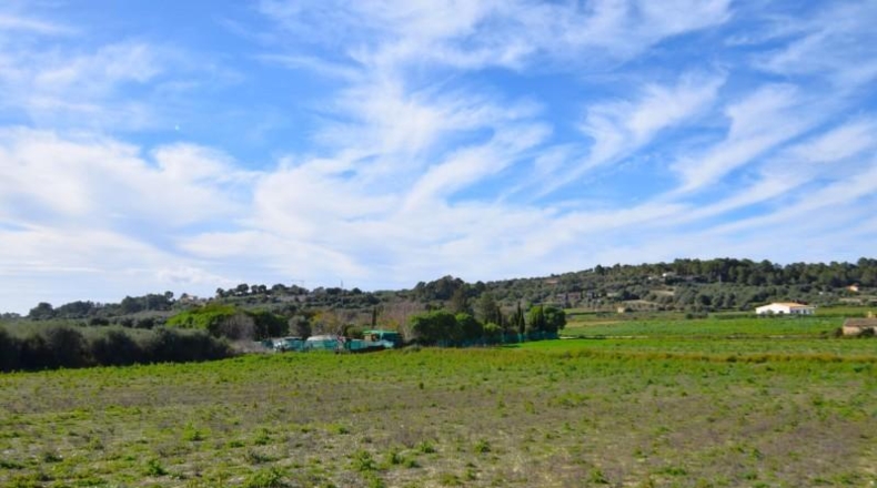 Islas Baleares - Muro - 18250m2