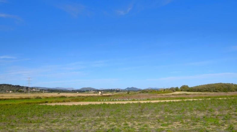Islas Baleares - Muro - 18250m2