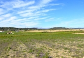 Terreno no urbanizable en venta en la España, Muro, ref: TR379944 foto