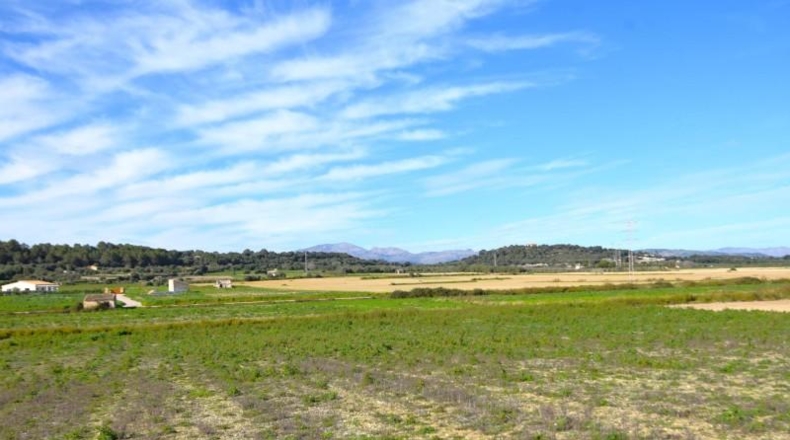 Islas Baleares - Muro - 18250m2
