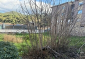 Land suitable for development for sale on España, Centelles, ref: TR383554 photo
