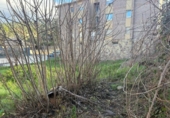Land suitable for development for sale on España, Centelles, ref: TR383554 photo