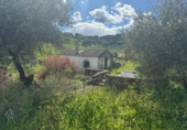 Casa de campo con terreno en venta en la España, Hornachuelos, ref: TR383691 foto