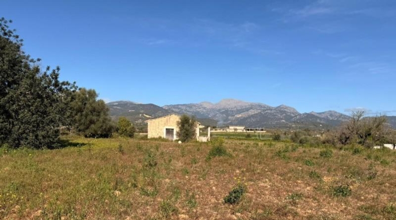 Islas Baleares - Lloseta - 39m2
