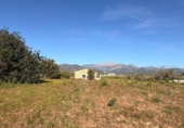 Detached villa with land for sale on España, Lloseta, ref: TR390908 photo